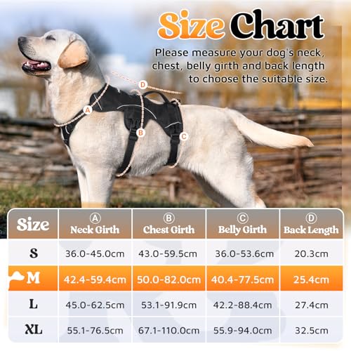 rabbitgoo Escape-Proof Dog Harness Medium with Large Handle, Anti-Pull Reflective Working Service Pets Vest, Breathable Pets Vest, Adjustable Lift Support Body Harness Large Dogs Outdoor, M, Black