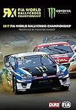 rallycross auto kaufen  Fia World Rallycross 2017 Review