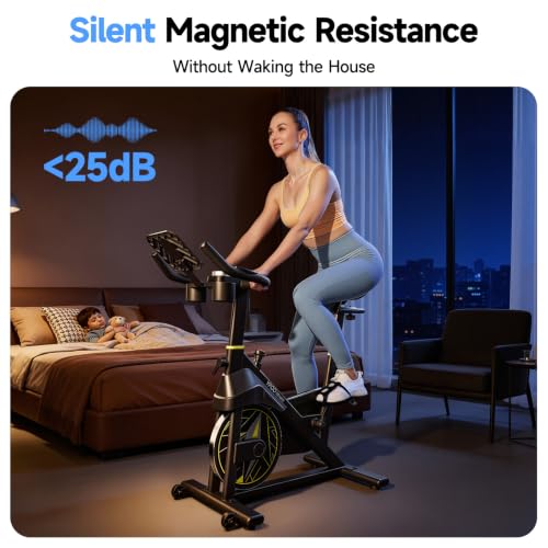 YPOO Magnetic Exercise Bike