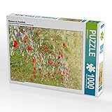 gisela mayer hair collection exquisit Fabrication de qualité supérieure adaptée à vos besoins. Grâce à une technologie d'impression de pointe, cette offre exceptionnelle de motifs (CALVENDO offre plus de 15 000 motifs différents de puzzle).