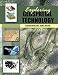 Exploring Geospatial Technology