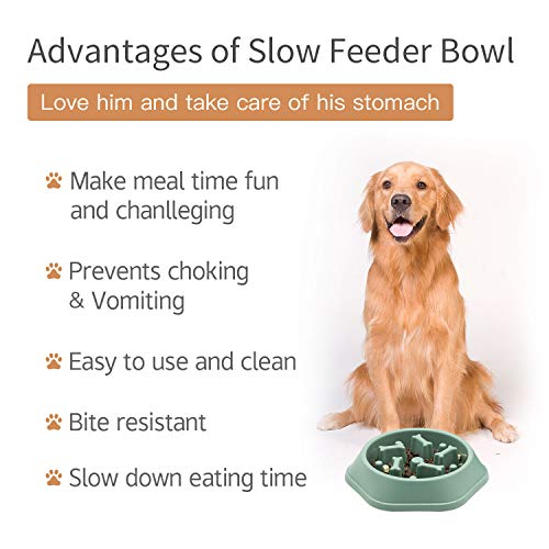 Dog Bowl Slow Feeder Dog Bowl Bloat Stop Dog Food Bowl Interactive Puzzle Healthy Eating Bowl (Green) - Image 6