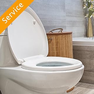 Toilet Repair - Running Toilet