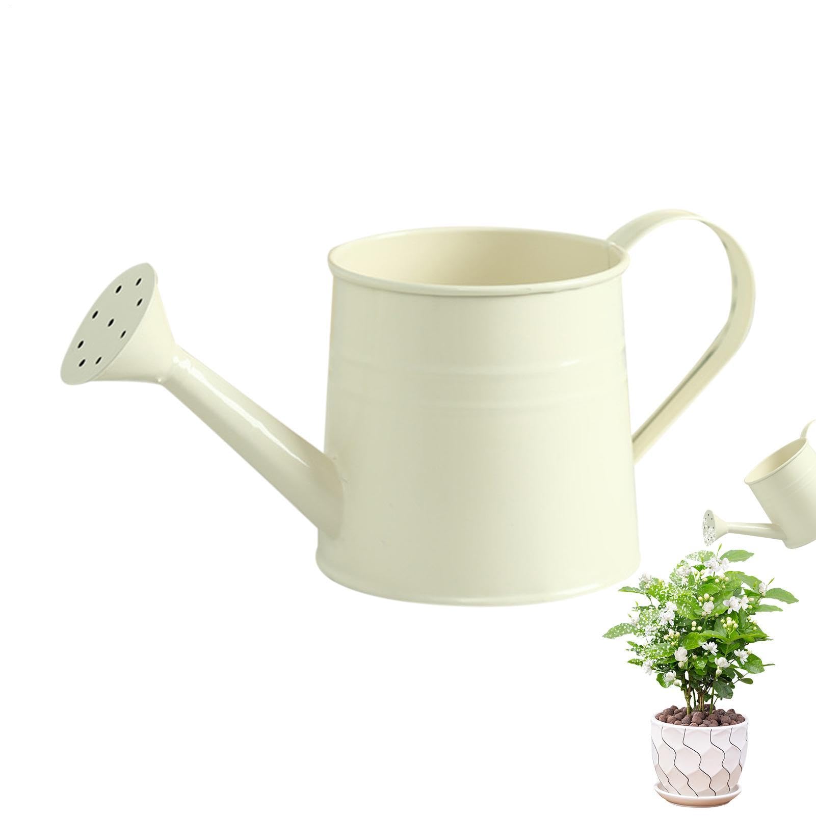 1 L Watering Can For Indoor & Outdoor Plants Small Watering Cans With Long Spout WateringCan For Indoor Plant Long Spout Gardening Tools For Plants