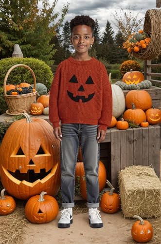 Toddler Girl/Boy Halloween Sweater Pumpkin Smile Embroidery Sweater Knitted Pullover Fall Winter Clothes4