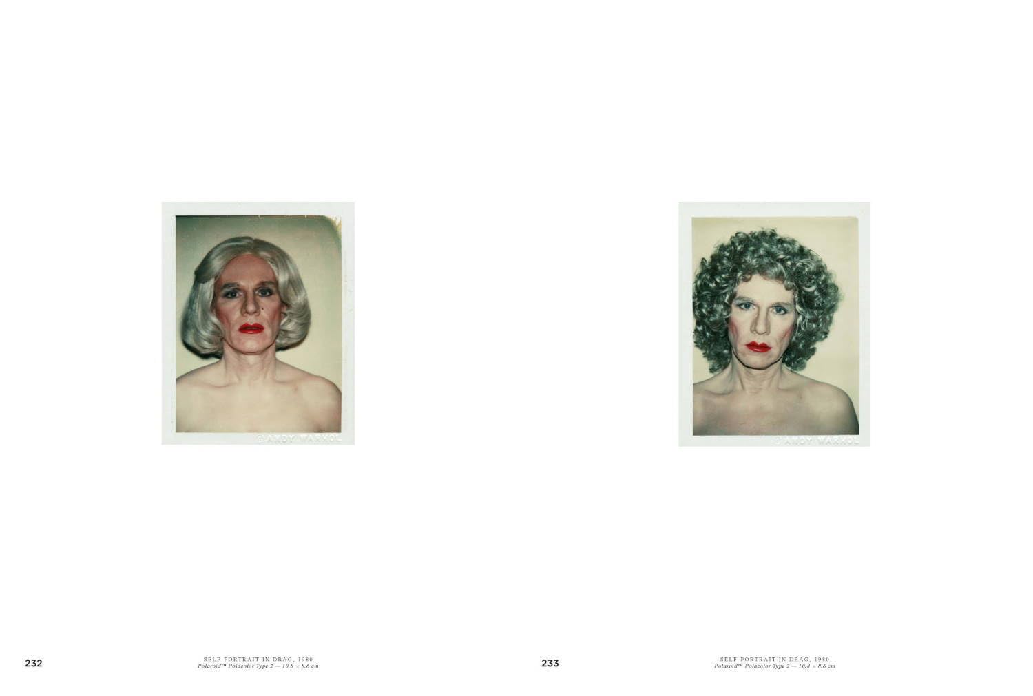 Andy Warhol: Velvet Rage and Beauty