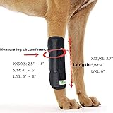 RockPet Gelenkbandage für das Vorderbein ihres Hundes (L/XL)