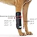 RockPet Gelenkbandage für das Vorderbein ihres Hundes (L/XL)