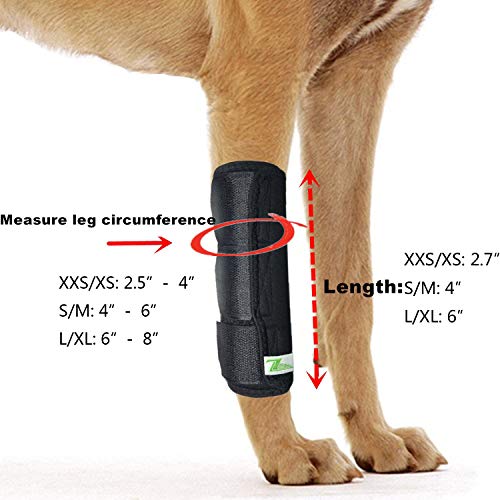 RockPet Gelenkbandage für das Vorderbein ihres Hundes (L/XL)