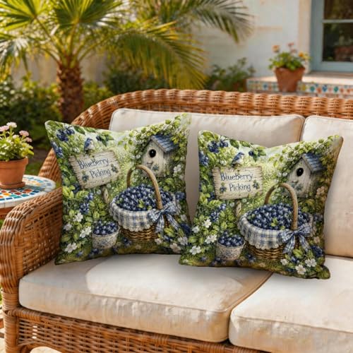 Blueberry Housses de coussin d'extérieur rustiques, panier à oiseaux d'été, lavables en machine, pour extérieur, terrasse, porche, mobilier de jardin, 30,5 x 30,5 cm, bleu – vue 3