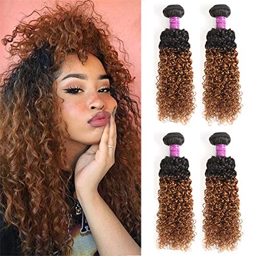 Ombre Curly Weave Human Hair 4 Bundles, 1B/30 Brazilian Hair Kinky Curly 1B/30 Black to Dark Brown Afro Curl for Black Women (10"12"14"16")