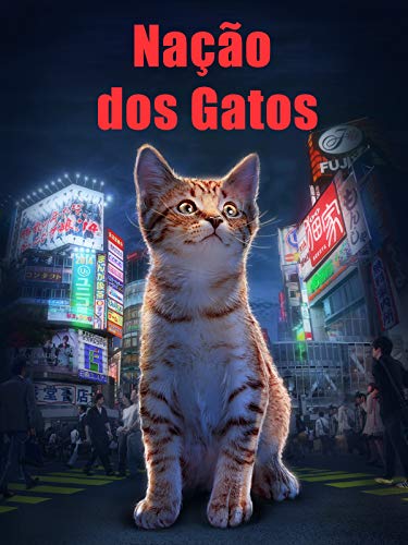 Nação dos Gatos