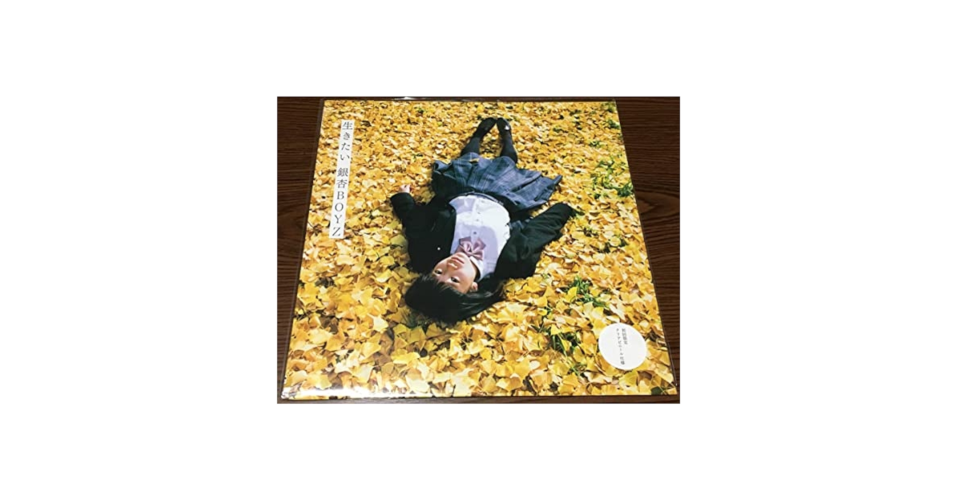 新品未開封　銀杏BOYZカセット　グッズ　川島小鳥 20170201-gingnangboyz_1.jpg