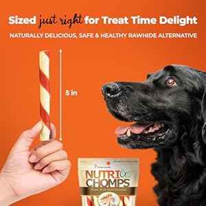 NutriChomps 5 inch Twists,Rawhide-Free Dog Treats, Easy to Digest, Healthy, 10 Count, Real Chicken flavor NutriChomps 5 inch TwistsRawhide Free Dog Treats Easy to Digest Healthy 10 Count Real Chicken flavor