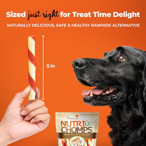 NutriChomps-5-inch-TwistsRawhide-Free-Dog-Treats-Easy-to-Digest-Healthy-10-Count-Real-Chicken-flavor NutriChomps 5 inch TwistsRawhide Free Dog Treats Easy to Digest Healthy 10 Count Real Chicken flavor