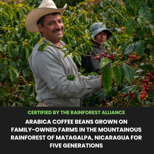 Mushroom Coffee And Coconut Creamer Bundle #TOP6