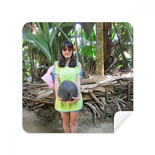 Lunettes chiffon de nettoyage pour l'été et lingette daim écran téléphone portable