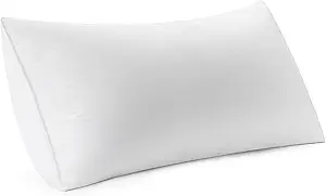 MIULEE 12x16 Inch Premium Lumbar Throw Pillow for Bed Sofa Couch Virgin Microfiber with 100% Cotton Cover Decorative Throw Pillow Insert Stuffer Form