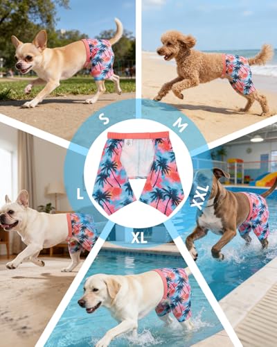 Image of CuteBone Dog Swim Trunks Swimsuit Durable & Comfortable - Quick-Dry, Adjustable Waistband Shorts, UV Protection Bikini- Perfect for Beach, Pool & Outdoor Fun, Dinos DST10S