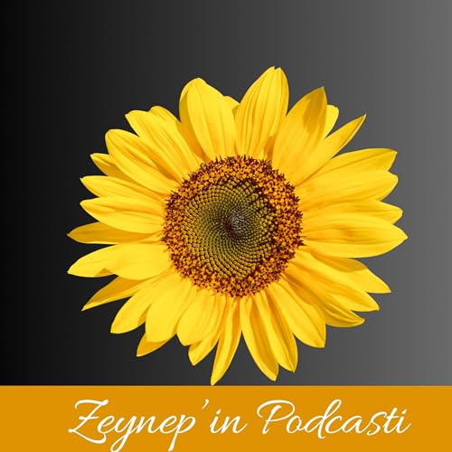 Sayılar ve İnsanlar