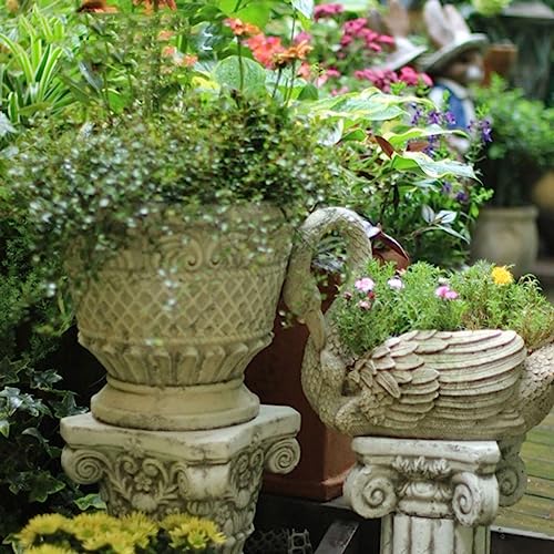 Pot pour plantes d'intérieur stable pour éviter le basculement de vos fleurs - 4