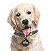 Pawscout Smarter Pet Tag (Version 2.5) for Cats & Dogs, Build Your Safety Petwork, Send Lost & Found Alerts, Track Walks, Set Outdoor Virtual Leashes, Store Medical Profiles, Short-Range Pet Tracking