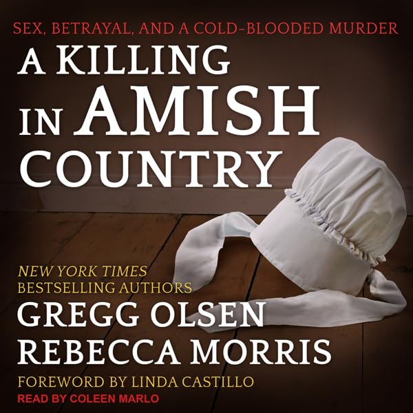 Cover art for A Killing in Amish Country