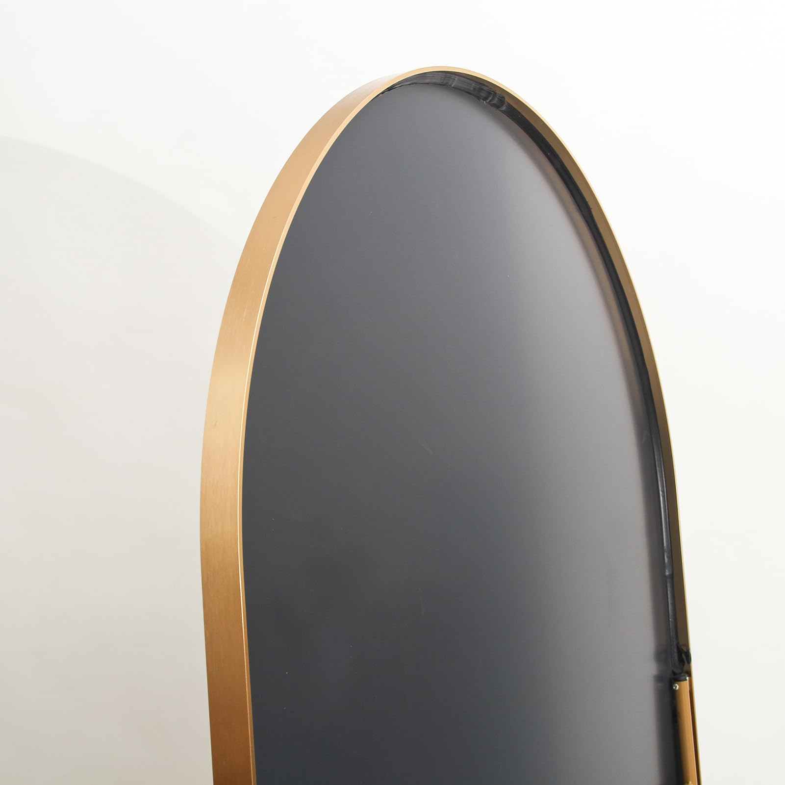Specchio Curvo 162x53 cm, Minimalista con Piedi, Grande Specchio da Terra a Figura Intera, Bombato e Sospeso, Ellittico, per Camera da Letto Soggiorno Ingresso, Dorato