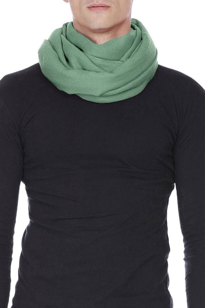 Écharpe en cachemire Fabriqué au Kashmir (boîte cadeau) Élégant laine mérinos Soie Mélange de cachemire doux Long foulard Femmes Hommes Pashmina Automne Hiver