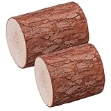 Accessoire photo : ces souches en bois naturel vous mettront de bonne humeur. décoration en souche d'arbre