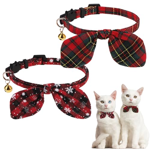 KOOLTAIL NX}X L  lN^Cƃxt 2pbN 킢ETM̎̎qL̎ցANVbN`FbNfUC SobNt ^ ^L j̎q ̎q