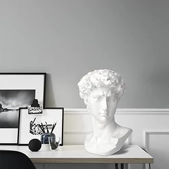Norrclp 11in Greek Statue of David, Classic Roman Bust Greek Mythology Sculpture for Home Decor