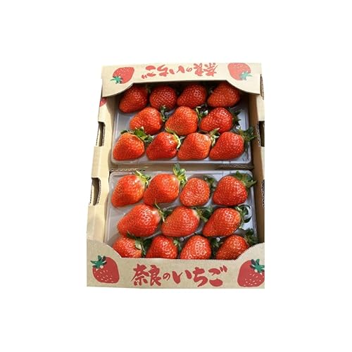 いちご 古都華 & あすかルビー 食べ比べ セット 完熟いちご フルーツ 果物