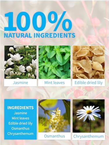 Image of TeeLux Mint Jasmine Herbal Tea Bags, Caffeine Free, 30 Count | Refreshing Mint Blend with Jasmine, Lily, Osmanthus & Chrysanthemum, Sugar Free, Gluten Free, Hot or Iced