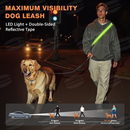 LED Freihandleine Hundeleine, Wiederaufladbar Joggingleine mit Autosicherheitsgurt für Kleine & Mittelgroße, Verstellbar Leine für Nachtsicherheit Spaziergänge (2,6 M)