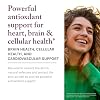 Reserveage Beauty Resveratrol Plus+ 500 mg - Rapid-Release Resveratrol Capsules with Quercetin for Immune System, Brain Health & Cellular Health - Gluten-Free & Vegan - 30 Veggie Capsules