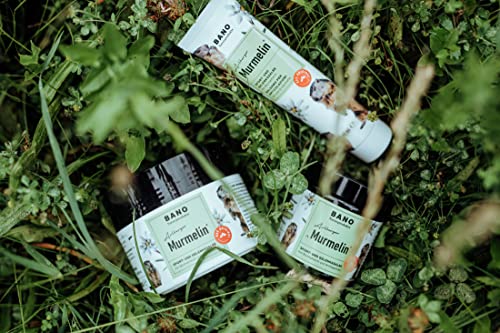Foto von Arlberger Murmelin Sport und Gelenksalbe I Original Murmeltiersalbe I MADE IN AUSTRIA I mit Murmeltieröl | Arnika | Latschenkieferöl | Menthol 200 ml