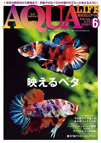 無料電子書籍 おすすめ 月刊アクアライフ 2019年 06 月号 映えるベタ バイ