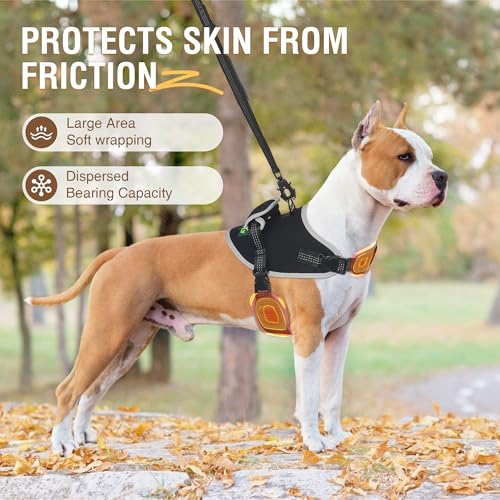 KISFLY Dog Harness, No Pull Dog Harness with Reflective, No Choke Pet Vest, Adjustable Soft Padded Dog Vest, Dog Walking and Training Harness, Medium Dog Harness with Handle, Black M - Thumbnail 2