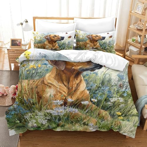 Housse de couette dinosaure surf facile à laver avec zip résistant