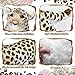 RoundFunny 15 Inch Stuffed Animal Tiger Leopard Lion Cheetah Realistic Wild Jungle Animals Toys Valentines Plush Toys for Girls Boys Birthday Valentine's Day Gifts (Leopard)