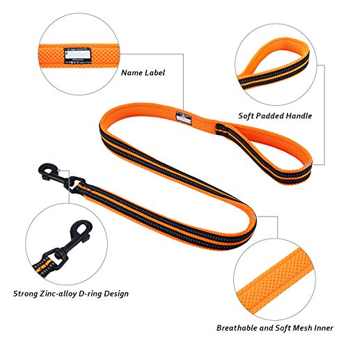PETTOM Hundeleine Reflektierend Leine aus Nylon mit Weich Gepolsterter Griff und Metallhaken für Training, Robuste Leine Hund für Kleine Mittel Große Hunde (Orange 110 cm)