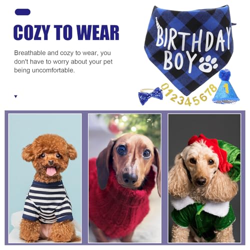 Set de disfraz para perro con bandana y gorro azul miniatura 6