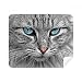 Grey Cat Animal Stare Blue Eyes Cleaning Cloth Screen Cleaner 2pcs Suede Fabric