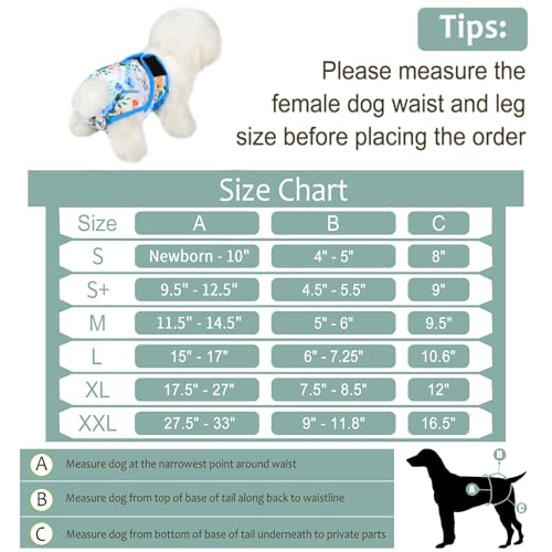 Image of Washable Female Dog Diapers (5 Pack) - Doggie Reusable Small Medium Large Dog Diapers for Doggy Puppy Female in Period - Highly Absorbent Dog Heat Panties,S Plus,Green