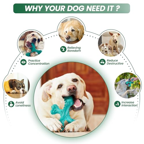 Dog-Chew-Toys-for-Aggressive-Chewers-Large-BreedIndestructible-Bones-ToyDurable-Cleaning-Toothbrush-Natural-Rubber-Dog-Toys - Cucciolini Doodles   Dog-Chew-Toys-for-Aggressive-Chewers-Large-BreedIndestructible-Bones-ToyDurable-Cleaning-Toothbrush-Natural-Rubber-Dog-Toys