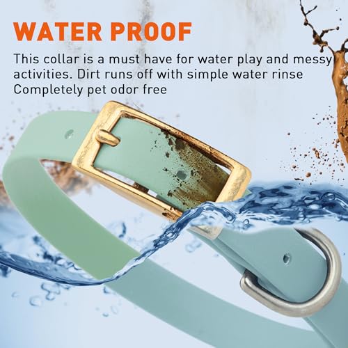 Image of Viper Biothane Heavy Duty Waterproof Dog Collar Strong Coated Nylon Webbing w /Solid Brass Hardware Odor-Proof Easy to Clean High Performance Fits Small Medium or Large Dogs, Sage Green