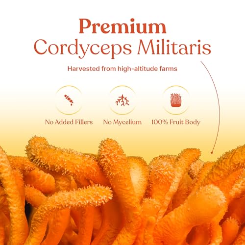 Image of Cordyceps Militaris Extract 30 Capsules - For Stamina, Energy & Workout Recovery - Natural Pre-Workout Alternative for Men & Women - Vegan, Non-GMO, Lab Tested, FSSAI Certified