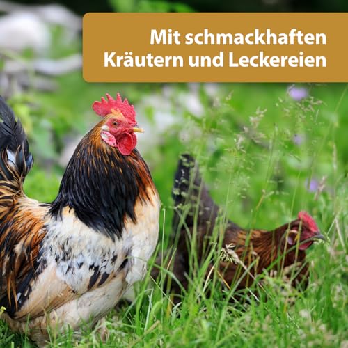 Quiko Hobby Farming Fitness Kräuter Ball 4X 100g - Hühner Beschäftigung - Bunter Fitness Ball aus schmackhaften Kräutern und Leckereien - Fördert das natürliche Pickverhalten Ihrer Hühner