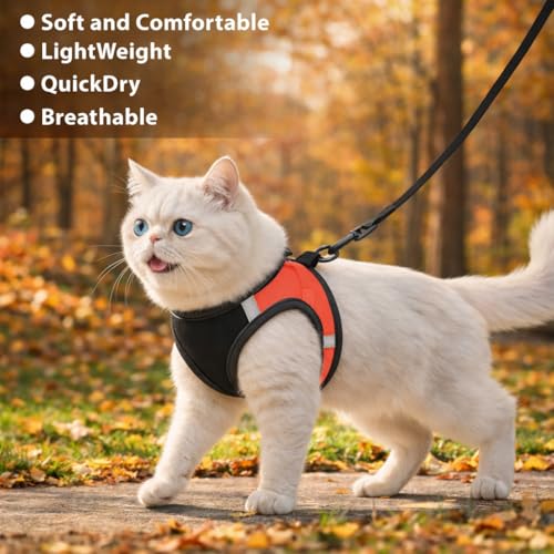 Image of Berlin's Cat Harness with Leash for Outdoor, Walking, Escape Proof, Air Mesh Fabric, Easy Control, Adjustable & Durable Cat Leash with Harness for Cats (Black-Red, Large)